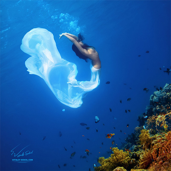 Подводная фотография. Cказки про океан.