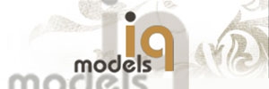    ,  Iqmodels